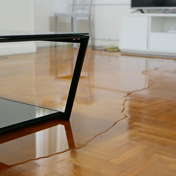 home with water on floor