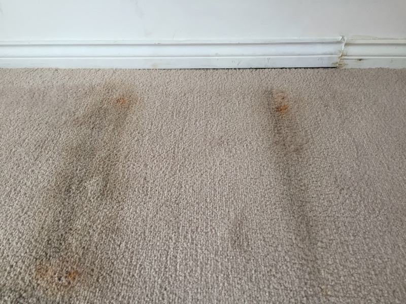 Carpet flooring before renovation